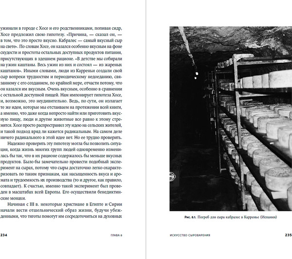 Изображение товара Книга Альпина Происхождение вкусов, твердая обложка (Данн Роб)