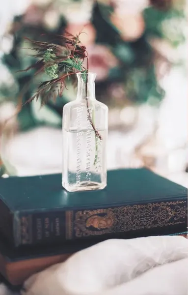 Изображение товара Нехудожественная книга КоЛибри Растения любви. Подарок внутри, твердая обложка (Рибейро Стефани)