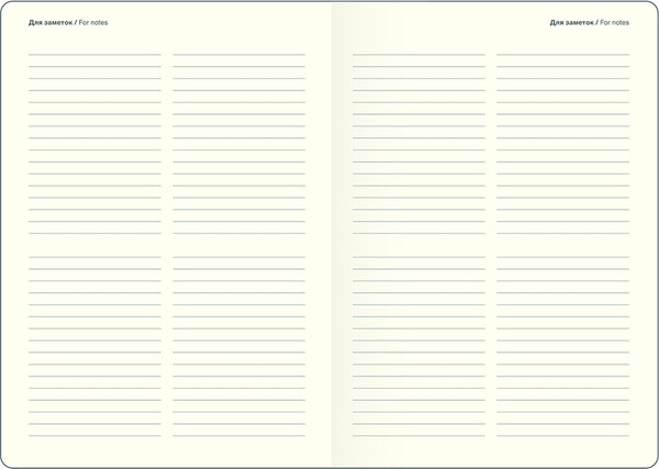 Изображение товара Ежедневник InFolio Diary / I1640