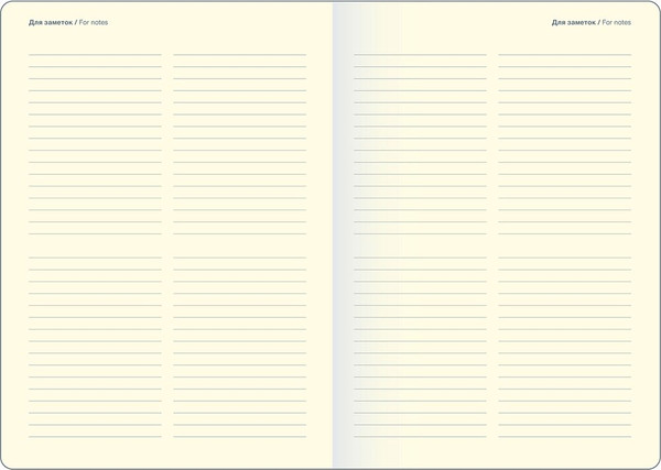 Изображение товара Ежедневник InFolio Universe / I1646