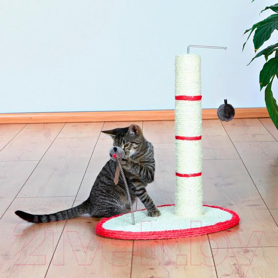 Изображение товара Когтеточка Trixie 4306 (разные цвета)