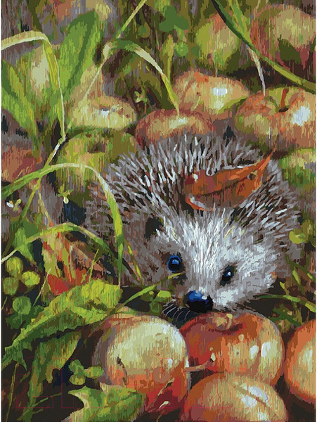 Изображение товара Картина по номерам БЕЛОСНЕЖКА Яблочный ежик / 140-AS