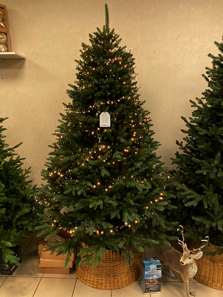 Изображение товара Светодиодная гирлянда GreenTerra Luca Snake / 83782 (215см)