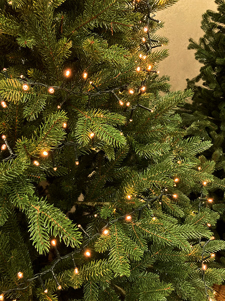 Изображение товара Светодиодная гирлянда GreenTerra Luca Snake / 83782 (215см)