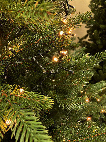 Изображение товара Светодиодная гирлянда GreenTerra Luca Snake / 83782 (215см)