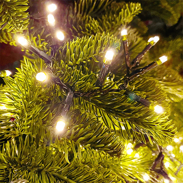 Изображение товара Светодиодная гирлянда GreenTerra Luca Snake / 83782 (215см)