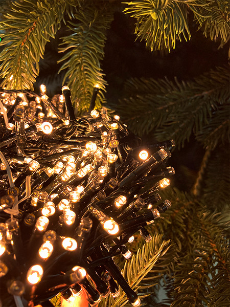 Изображение товара Светодиодная гирлянда GreenTerra Luca Snake / 1070838 (245см)