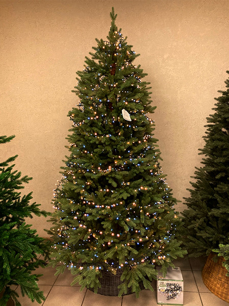 Изображение товара Светодиодная гирлянда Koopman Snake Comfort Basic / AX8512150 (24см)