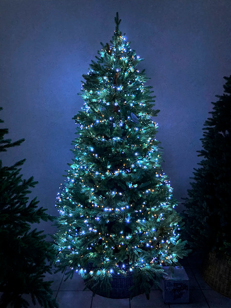 Изображение товара Светодиодная гирлянда Koopman Snake Comfort Basic / AX8512150 (24см)