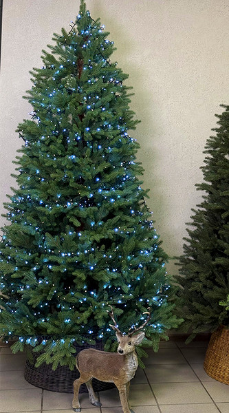 Изображение товара Светодиодная гирлянда Koopman Snake Comfort Basic / AX8512150 (24см)