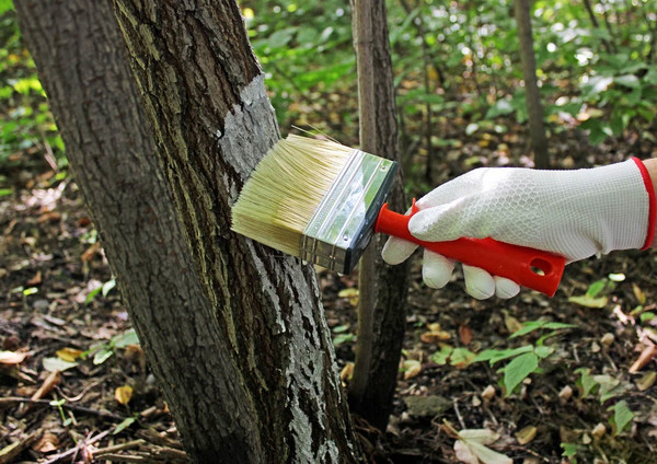 Изображение товара Кисть малярная Decor 100х30мм / 745-010