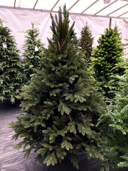 Изображение товара Сосна искусственная GreenTerra Босния (2.5м)