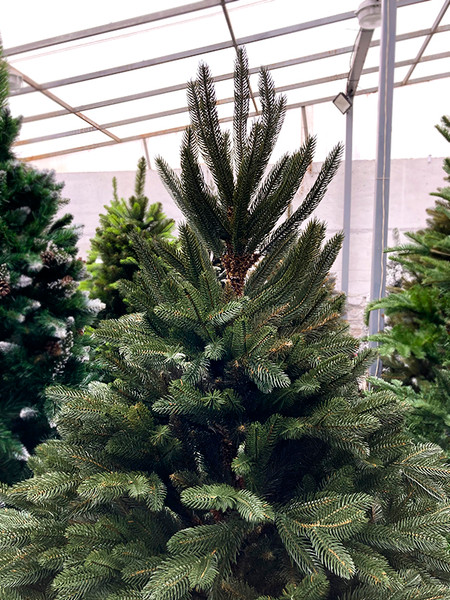 Изображение товара Сосна искусственная GreenTerra Босния (2.5м)