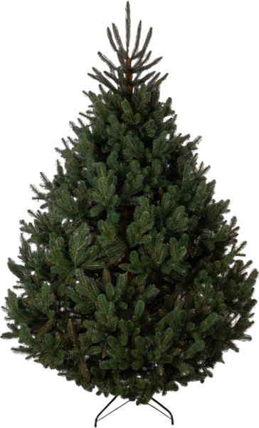 Изображение товара Сосна искусственная GreenTerra Босния (2.5м)