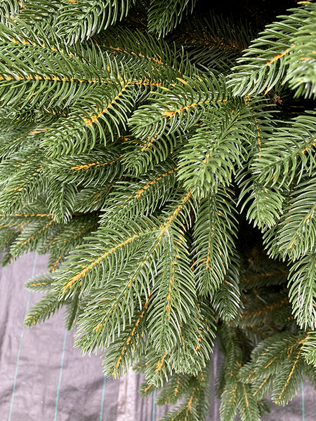 Изображение товара Сосна искусственная GreenTerra Босния (2.5м)