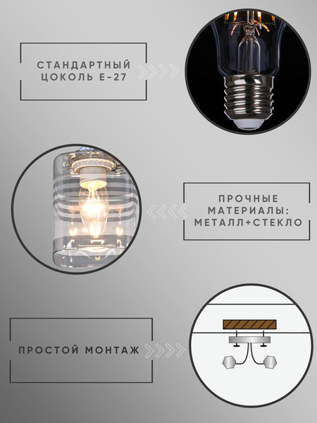 Изображение товара Потолочный светильник Aitin-Pro НПБ 02-2x60-101 / 70209/2 (черный/хром)
