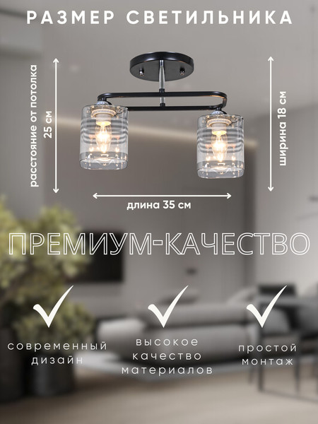 Изображение товара Потолочный светильник Aitin-Pro НПБ 02-2x60-101 / 70209/2 (черный/хром)