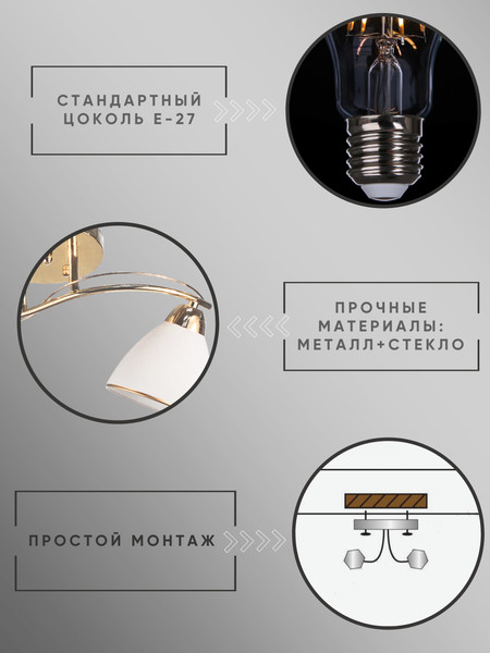 Изображение товара Потолочный светильник Aitin-Pro НПБ 02-2x60-101 / 8206/2 (золото)