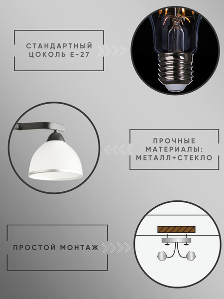Изображение товара Люстра Aitin-Pro НПБ 02-3x60-101 / 8205/3 (черный)