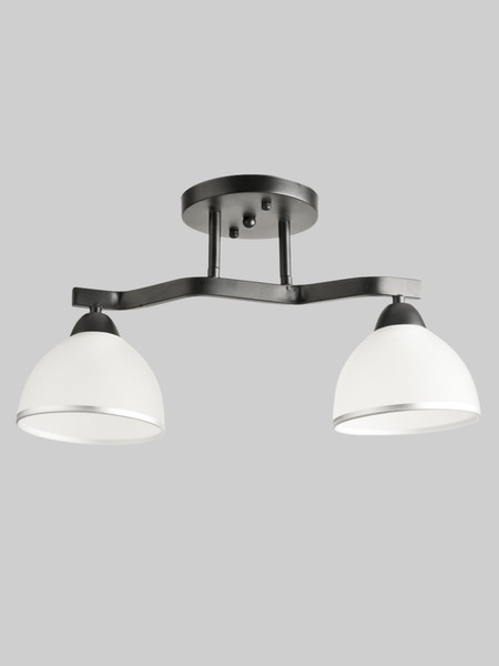 Изображение товара Потолочный светильник Aitin-Pro НПБ 02-2x60-101 / 8205/2 (черный)