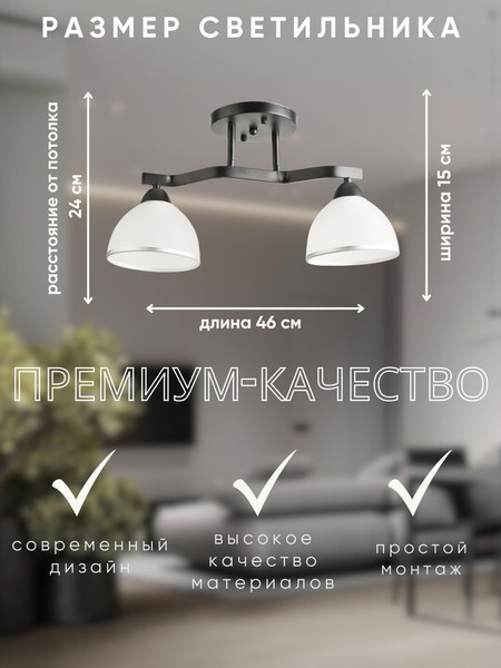 Изображение товара Потолочный светильник Aitin-Pro НПБ 02-2x60-101 / 8205/2 (черный)