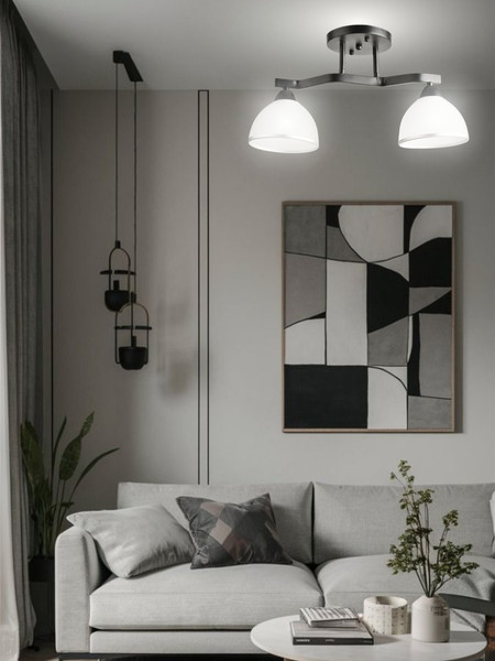 Изображение товара Потолочный светильник Aitin-Pro НПБ 02-2x60-101 / 8205/2 (черный)