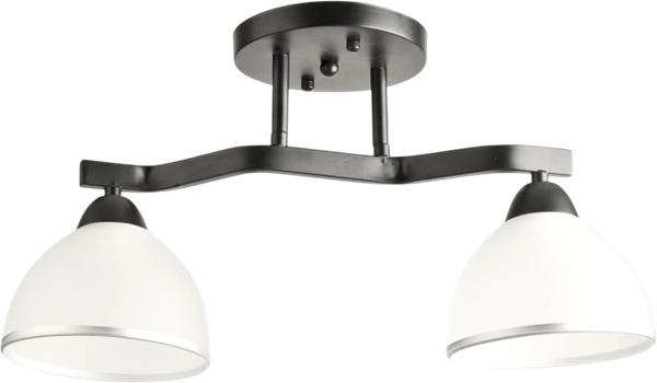 Изображение товара Потолочный светильник Aitin-Pro НПБ 02-2x60-101 / 8205/2 (черный)