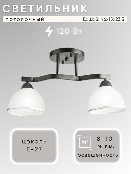 Изображение товара Потолочный светильник Aitin-Pro НПБ 02-2x60-101 / 8205/2 (черный)