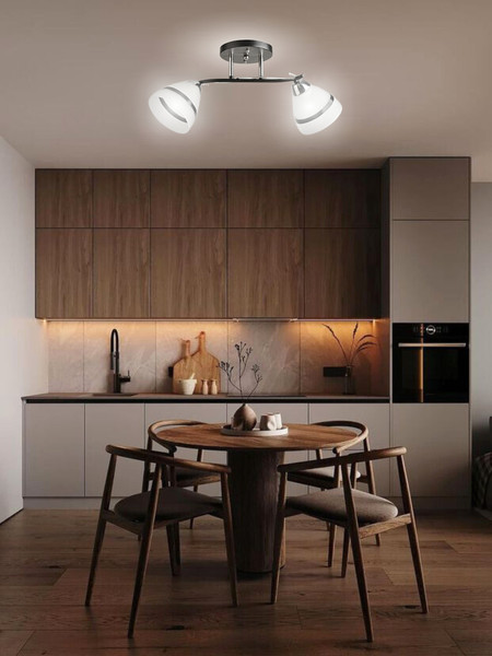 Изображение товара Потолочный светильник Aitin-Pro НПБ 02-2x60-101 / 8172/2 (черный/хром)