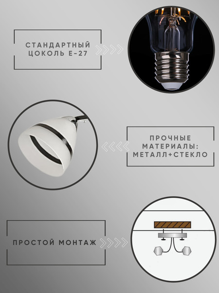 Изображение товара Потолочный светильник Aitin-Pro НПБ 02-2x60-101 / 8172/2 (черный/хром)