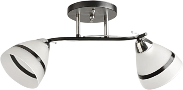 Изображение товара Потолочный светильник Aitin-Pro НПБ 02-2x60-101 / 8172/2 (черный/хром)