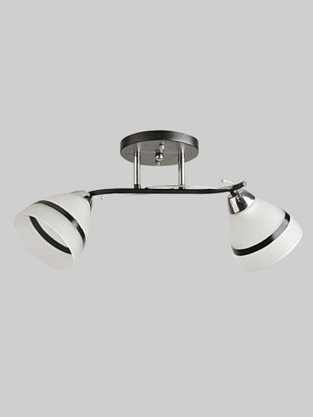 Изображение товара Потолочный светильник Aitin-Pro НПБ 02-2x60-101 / 8172/2 (черный/хром)