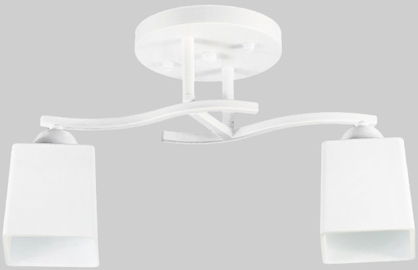 Изображение товара Потолочный светильник Aitin-Pro НПБ 02-2x60-101 / 7603/2 (белый)