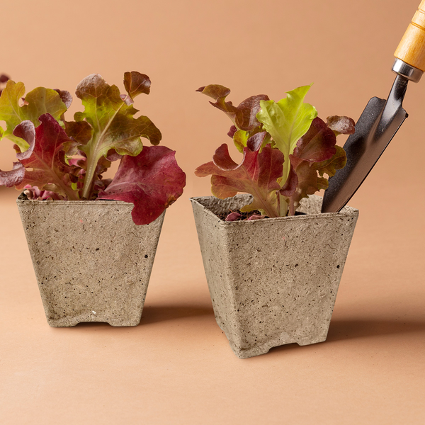 Изображение товара Набор горшков для рассады ГазонCity Квадратный с улучшенным дном с улучшенным дном 95x95x100мм (20шт)