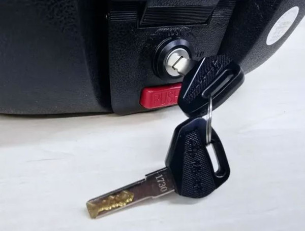 Изображение товара Кофр для мотоцикла AVM 818 (металлик)