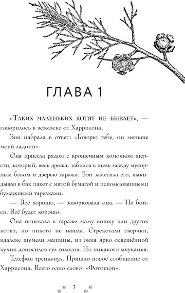 Изображение товара Книга Эксмо Самая большая кошка на свете, твердая обложка (Дерст Сара)