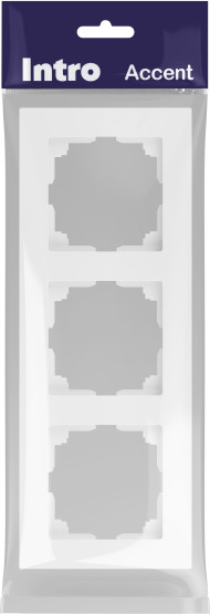 Изображение товара Рамка для выключателей и розеток INTRO Accent 6-503-01М / Б0063744 (белый матовый)