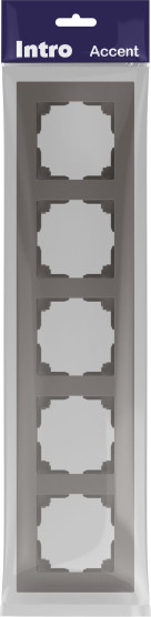 Изображение товара Рамка для выключателей и розеток INTRO Accent 6-505-09 / Б0063739 (титан)