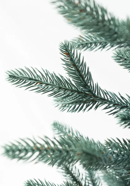 Изображение товара Ель искусственная National Tree Company Авелина / АВ/ГЛ-60 (60см, голубой)