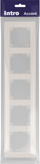 Изображение товара Рамка для выключателей и розеток INTRO Accent 6-505-06 / Б0063731 (перламутр)