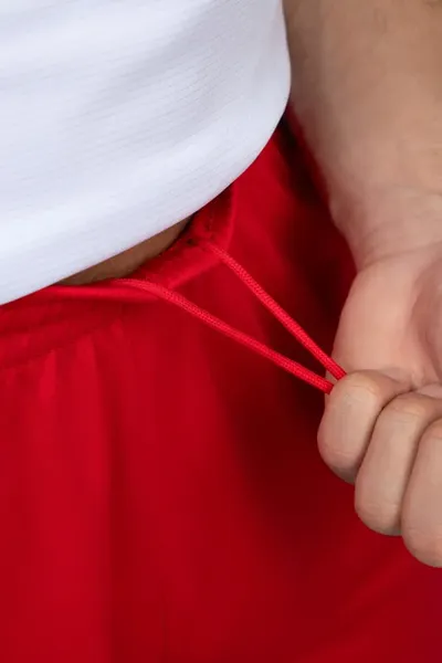 Изображение товара Шорты спортивные FN Stride / FN4262003-600 (S, красный)