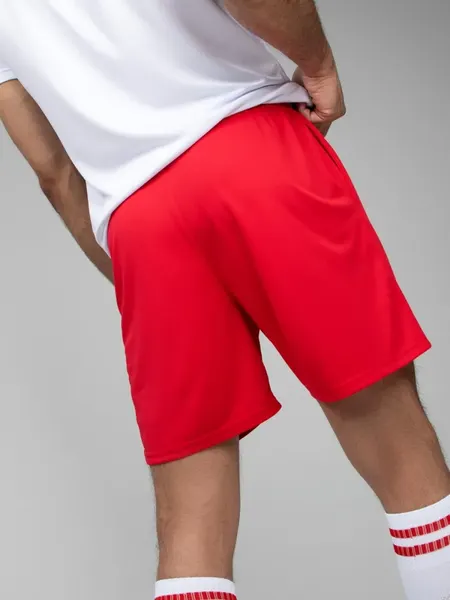 Изображение товара Шорты спортивные FN Stride / FN4262003-600 (M, красный)