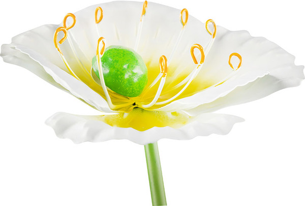 Изображение товара Украшение для сада Park Мак Свадебный / 108849