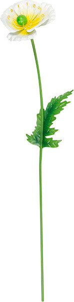 Изображение товара Украшение для сада Park Мак Свадебный / 108849