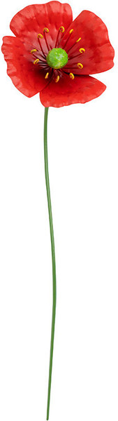 Изображение товара Украшение для сада Park Мак самосейка / 108845