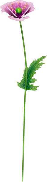 Изображение товара Украшение для сада Park Мак Восточный / 108850