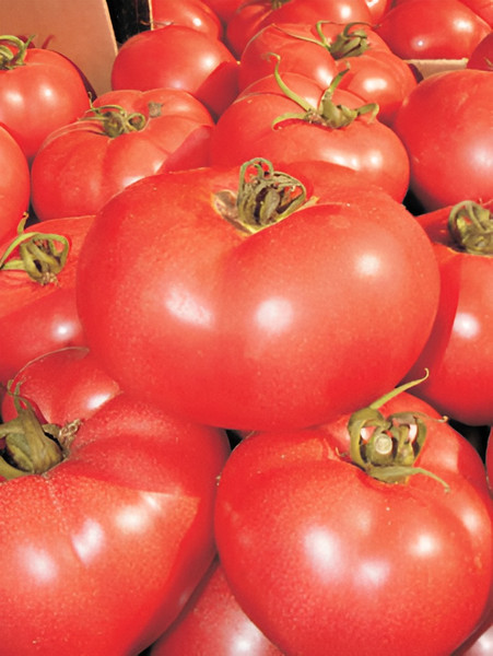 Изображение товара Семена Sakata Томат Пинк Парадайз F1 (5шт)