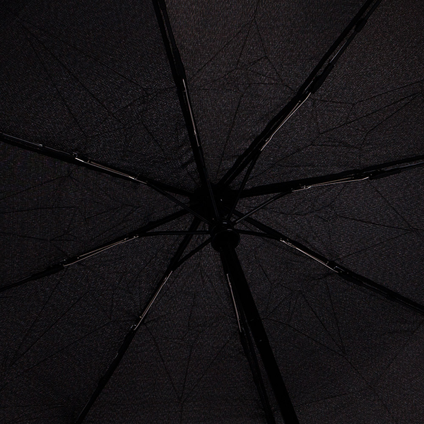 Изображение товара Зонт складной Rain Berry 734-1399.2 (черный)