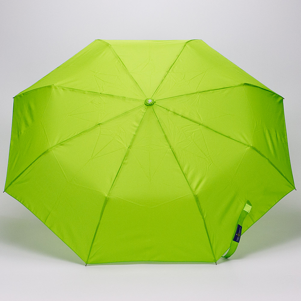 Изображение товара Зонт складной Rain Berry 734-1399.3 (салатовый)