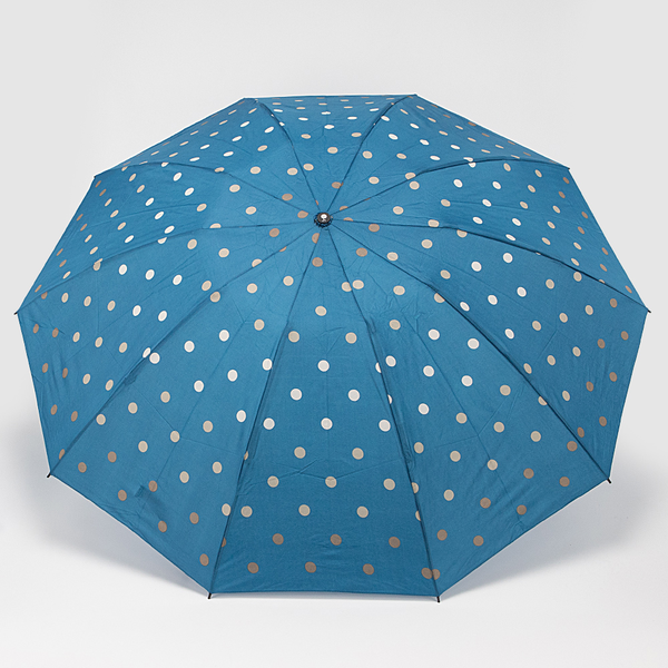 Изображение товара Зонт складной Rain Berry 734-23331.1 (голубой/горох)